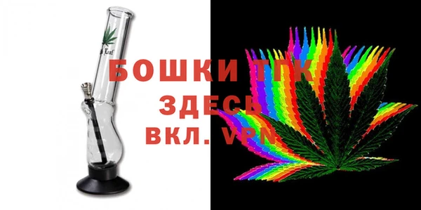 дмт Переславль-Залесский