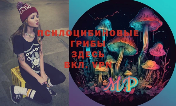 амф Покачи