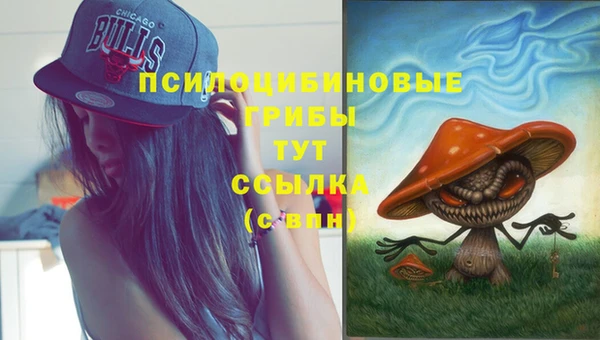 тгк Бугульма