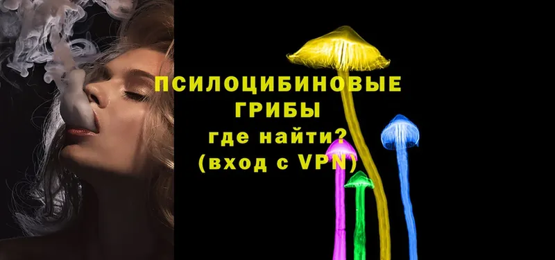 что такое наркотик  Родники  Галлюциногенные грибы Psilocybe 