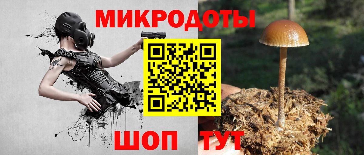 Родники  Псилоцибиновые грибы Psilocybe  Вход с VPN  Псилоцибиновые грибы Magic Shrooms 